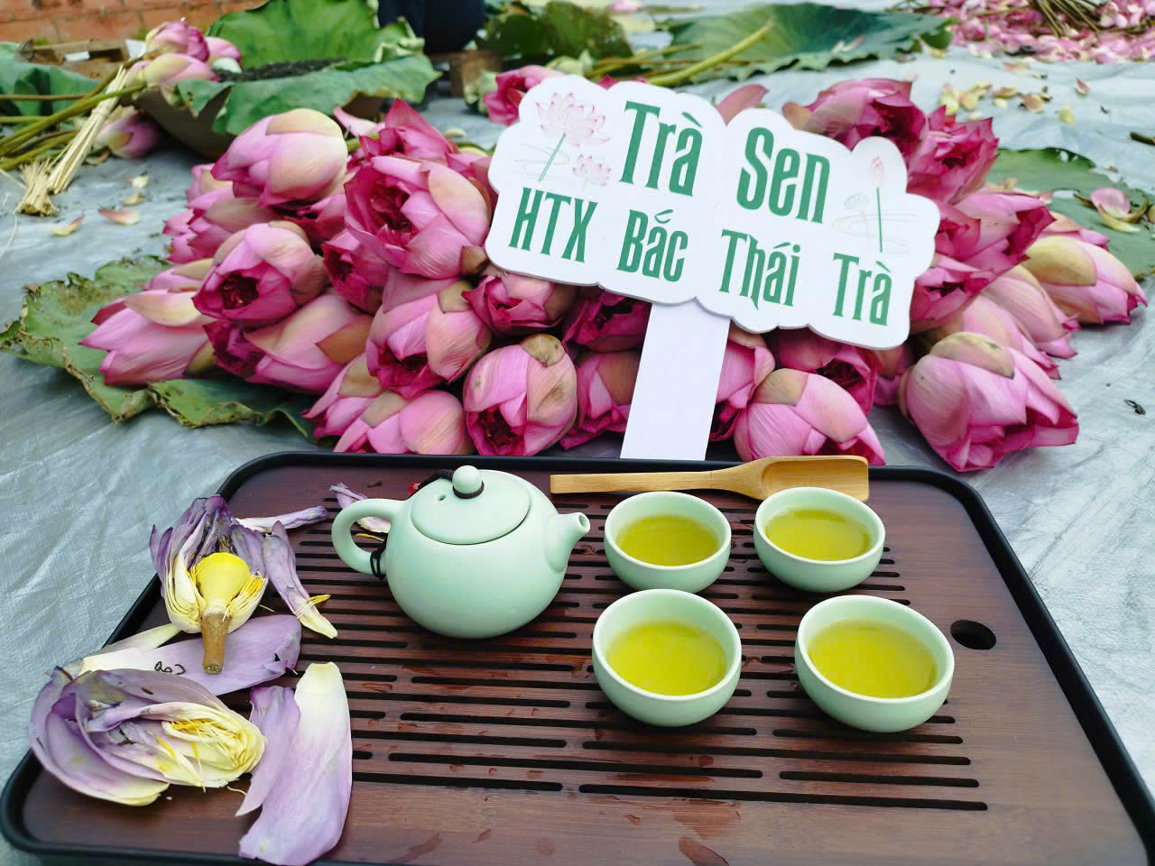 Bách Diệp Ngự Trà - Trà Sen Tây Hồ