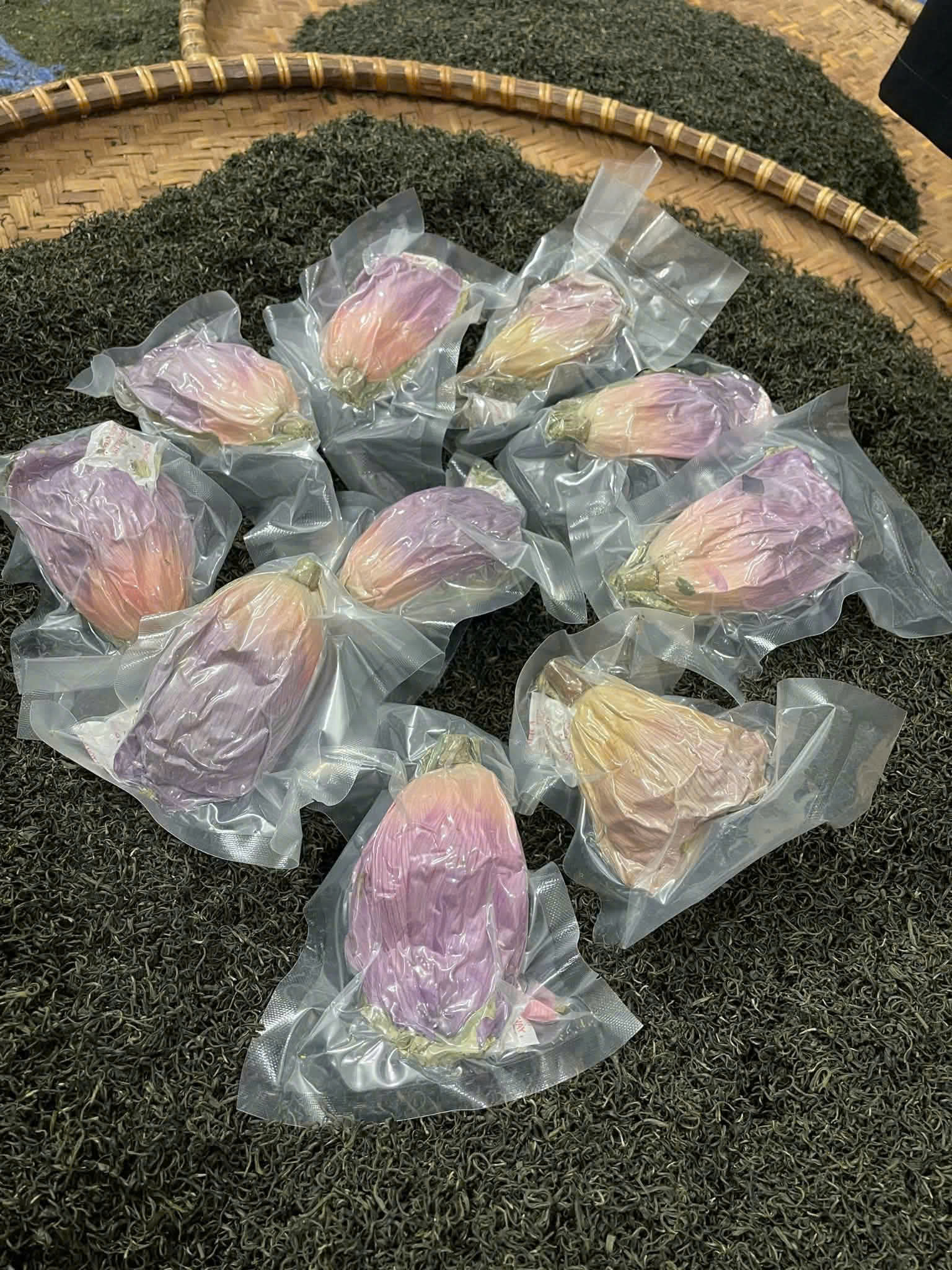 Bách Diệp Bắc Thái Trà