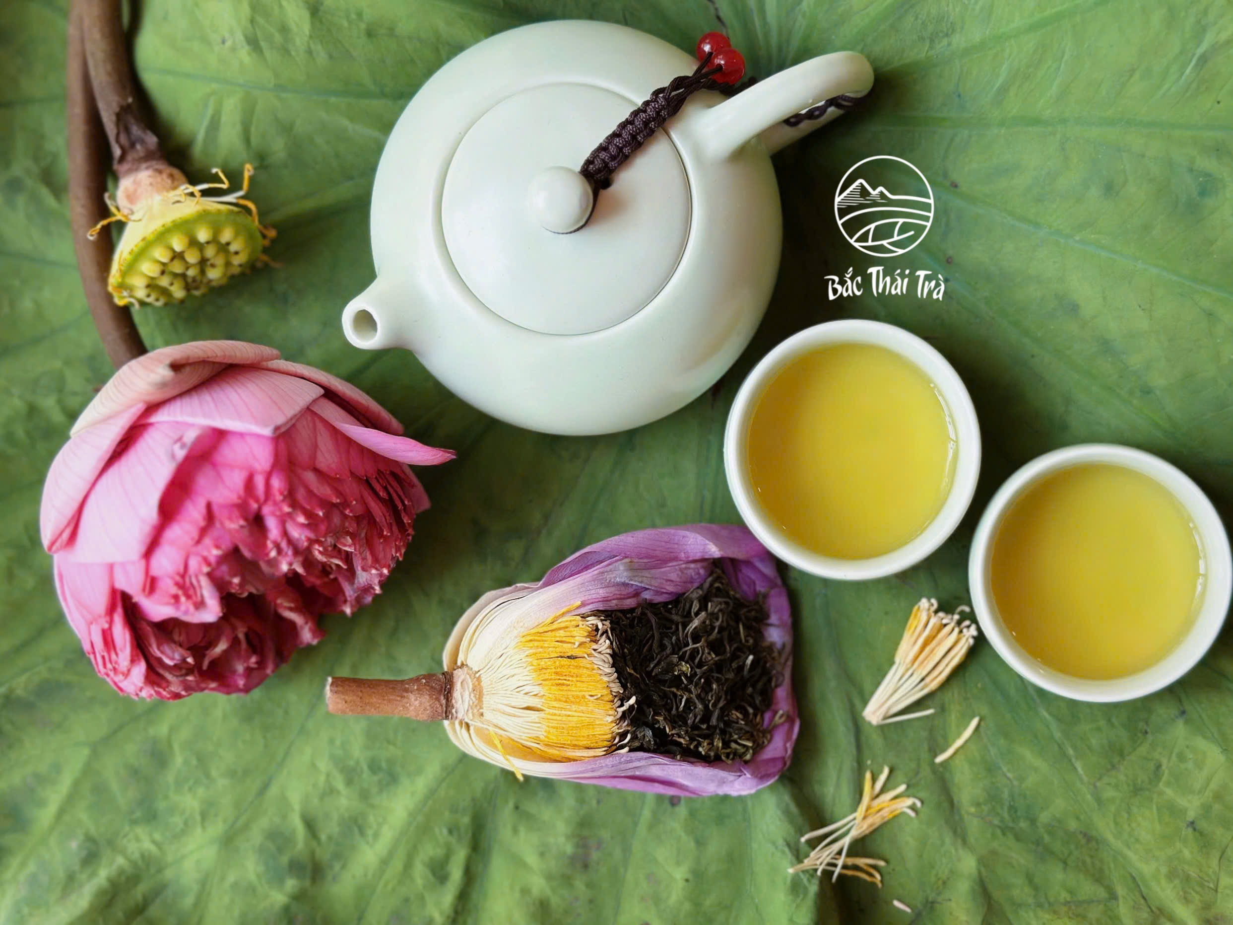 Trà Sen - Bách Diệp Ngự Trà cao cấp