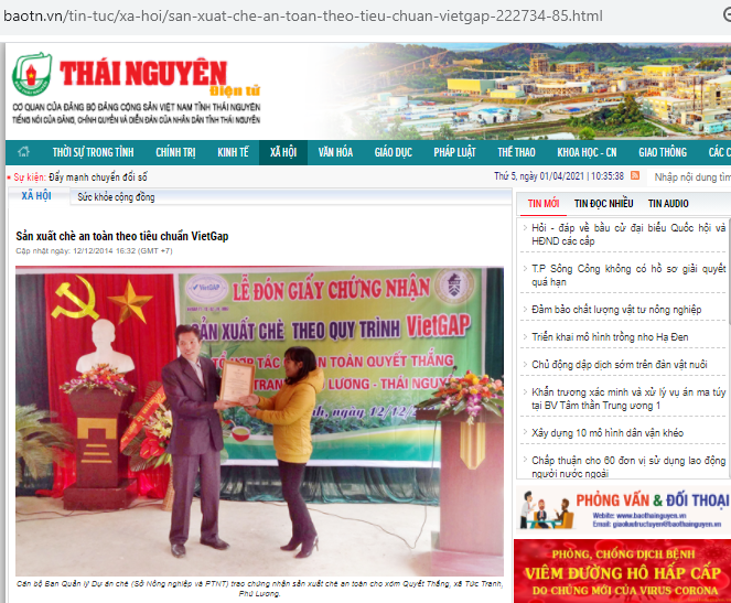 Sản xuất chè an toàn theo tiêu chuẩn VietGap