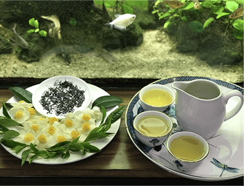 Bột trà xanh bao nhiêu tiền 1kg? Uống bột trà xanh có tốt không?